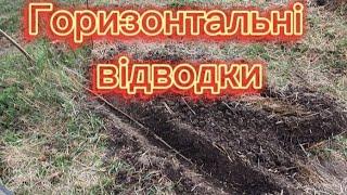 Фундук Розмноження Горизонтальні Відводки 2024. 5 способів