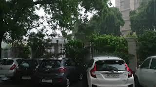 Monsoon 2021 is here #monsoon #lucknow