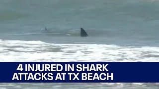 South Padre Island shark attacks injure 4 officials say