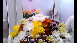 25 веток хризантемы разного цвета от TopFlora.ru