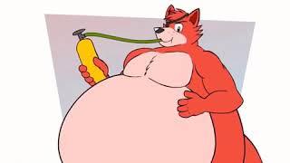 Foxy The pirate fox Belly Inflation