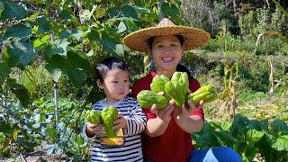 Stir-fried chayote crispy in the mouth delicious and nutritious