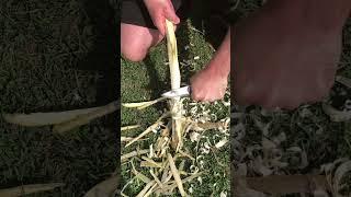 Fast Feathersticking with Gerber Principle #shorts #knife #survival #sharp