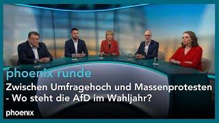 phoenix runde Zwischen Umfragehoch und Massenprotesten - Wo steht die AfD im Wahljahr?  22.02.2024