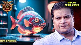 क्या Team CID पता लगा पाएगी एक Fish का Secret?  सी.आई.डी  Best of CID  TV Serial Latest Episode