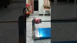 spring Potato machine cutting on onion experiment #short #shorts #videos #vivo #machine