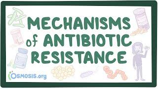 Mechanisms of antibiotic resistance