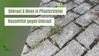 Unkraut & Moos aus Fugen und Pflastersteinen entfernen  Hausmittel gegen Unkraut  Gartentipps