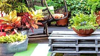 38 Creative Container Garden Ideas