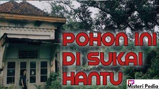 8 Pohon Yang Di Sukai Hantu