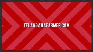 Telanganafarmer.com - బొప్పాయి సీడ్ welcome crop science