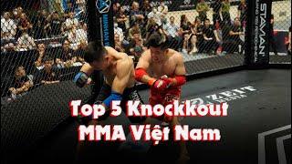 Top 5 Knockout đẹp mắt nhất MMA Việt Nam - LION Championship 2022  VÕ THUẬT