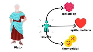 A Brief History of Psychology From Plato to Pavlov