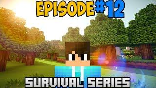 Minecraft Survival Series Episode #12  LimitlessGaming999