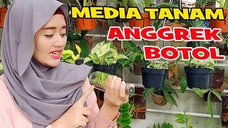 MEDIA TANAM UNTUK ANGGREK BOTOL