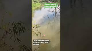 Gara2 ikan kakap putih monster joran sampek patah #arisfishing