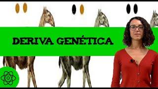 La deriva genetica 