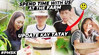 BAHAY-KUBO IN KOREA  VEGETABLE AND FRUIT PICKING  GROCERY HAUL  TATAYS HEALTH UPDATE  #pmsk