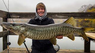 Insane GIANT TIGER MUSKY from the PUBLIC Dock Caught Sight Fishing