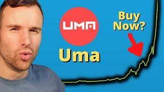 Why Uma is up  Crypto Token Analysis