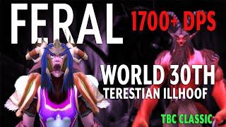 1700+ DPS Feral Druid - World #30 Illhoof Parse  Karazhan  WoW TBC Classic
