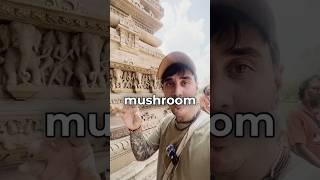 Searching for the sacred mushroom of India