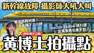 大太陽下等候3小時 就為了拍攝 Doctor Yellow 黃博士&向日葵運行時刻表不公開 上百名攝影師參戰｜女子獨旅 岐阜羽島 大垣向日葵花田 4K VLOG