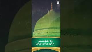 Ae Saba Mustafa Se Keh Dena - Hafiz Ahsan Qadri - New Kalam 2022