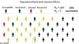 Herd Immunity