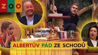 ZOO 81 – Albertův pád ze schodů