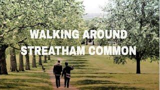 The Rookery Streatham Common A forgotten corner of Streathams history.