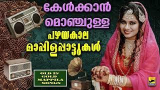 കേൾക്കാൻ മൊഞ്ചുള്ള പഴയ മാപ്പിളപ്പാട്ടുകൾ  Old Is Gold Mappila Song  Pazhaya MappilaPattukal