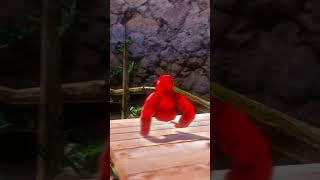 Morning Forest Routine Gorilla Tag Animation #gorillatag #blender #animation