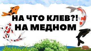 Добротный фарм на медном сейчас? Озеро Медное РР4  Русская рыбалка 4