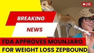 BREAKING NEWS ZEPBOUND FDA APPROVES ELI LILLY MOUNJARO For Chronic Weight Management TIREZPATIDE