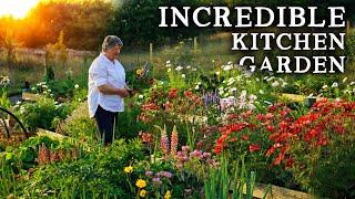 Breathtaking Raised Bed Garden FULL of Veg & Flowers Only 6 Months Old