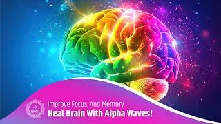 Heal Your Brain With Alpha Waves Cognitive Boosting Frequency Therapy - Improve Focus And Memory