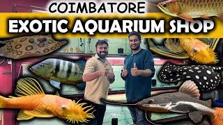 Rare Exotic Monster Aquarium Shop Tour  Coimbatore BT Aqua