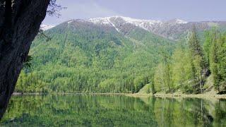 CGTN Nature Altai Mountains Series  Episode 5 Taiga Forest