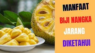 4 Manfaat Biji Nangka Untuk Kesehatan Tubuh