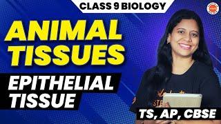 Animal Tissues  EPITHELIAL TISSUE  Class 9  SSC Biology 2025  Sunaina Maam  General Science