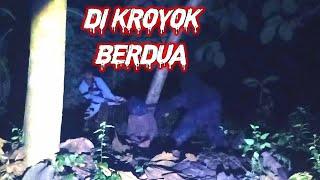 keroyok semampir