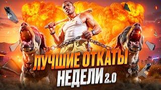 ВОТ ПОЭТОМУ НИКТО не ЛЮБИТ СОБАК в GTA 5 на MAJESTIC RP