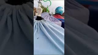 JOKI LUCU NEKAT GANTANG BURUNG PAKAI TOSSA