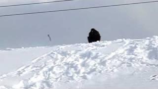 Raven Sliding Down Roof of West Yellowstone Public Library