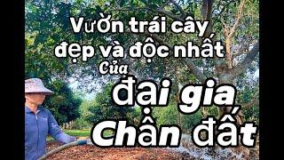 Đại gia chân đất bán vườn trái cây siêu khủng đẹp và độc nhất ở Châu Đức Bà Rịa Vũng Tàu