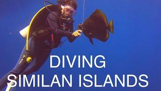 Diving Similan Islands with Pawara  I VLOG 114