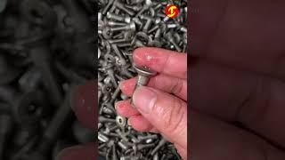 316 Stainless steel oval head torx socket machine screw