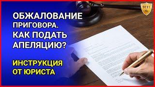 ОБЖАЛОВАНИЕ ПРИГОВОРА. Как подать апелляцию в суд. Инструкция от юриста  Отмена приговора