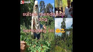 Jadi sultan mendadang abg bertopeng ini kerna punyak kebun cabe modal tipis hasil selangit waooo